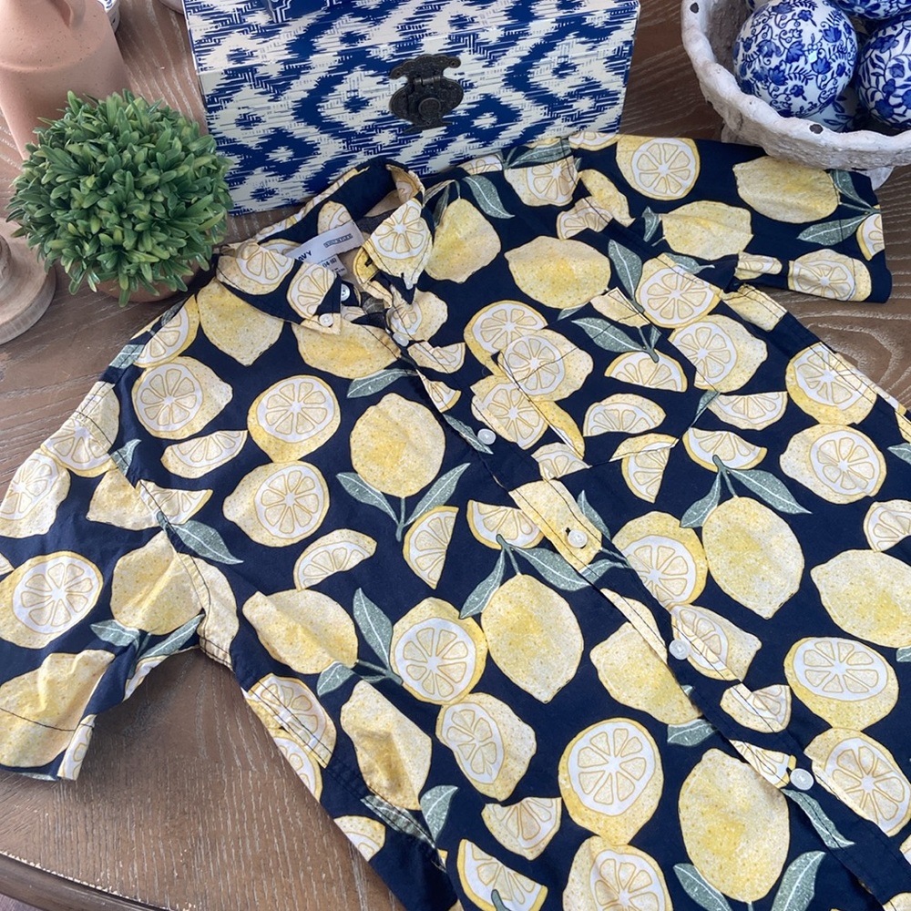 Big Boys Lemon Tropical Summer Short Sleeve Button Down Shirt
